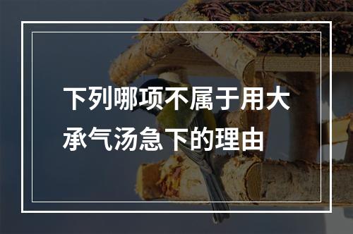 下列哪项不属于用大承气汤急下的理由