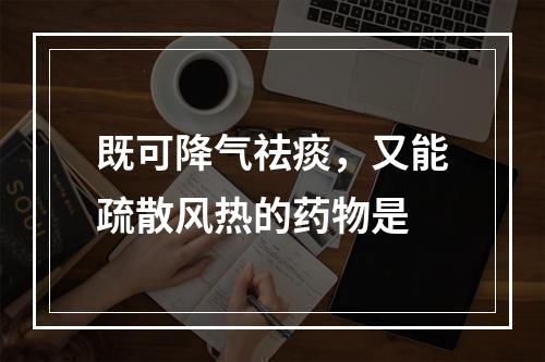 既可降气祛痰，又能疏散风热的药物是