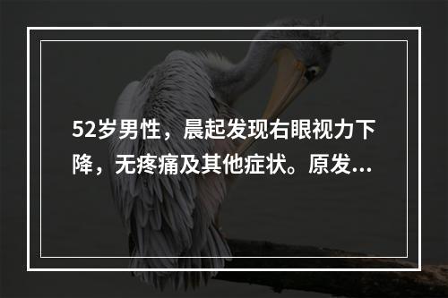 52岁男性，晨起发现右眼视力下降，无疼痛及其他症状。原发性高