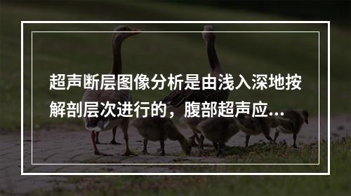 超声断层图像分析是由浅入深地按解剖层次进行的，腹部超声应包