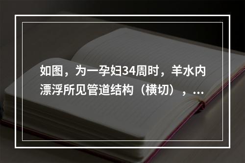 如图，为一孕妇34周时，羊水内漂浮所见管道结构（横切），最