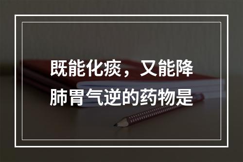 既能化痰，又能降肺胃气逆的药物是