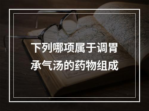 下列哪项属于调胃承气汤的药物组成