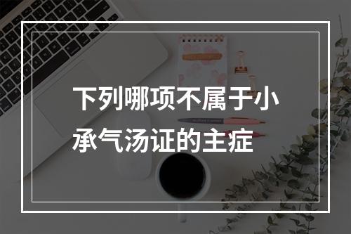 下列哪项不属于小承气汤证的主症