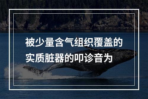 被少量含气组织覆盖的实质脏器的叩诊音为