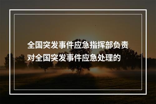 全国突发事件应急指挥部负责对全国突发事件应急处理的