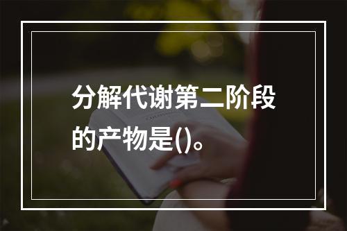 分解代谢第二阶段的产物是()。