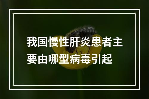 我国慢性肝炎患者主要由哪型病毒引起