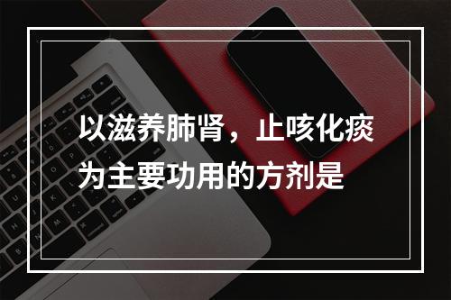 以滋养肺肾，止咳化痰为主要功用的方剂是