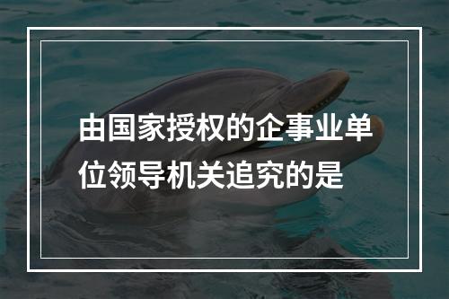 由国家授权的企事业单位领导机关追究的是