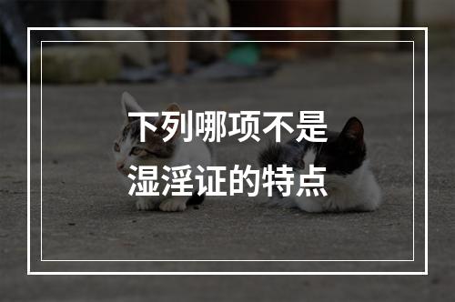 下列哪项不是湿淫证的特点