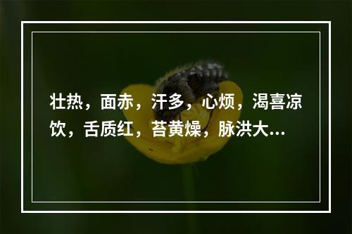 壮热，面赤，汗多，心烦，渴喜凉饮，舌质红，苔黄燥，脉洪大有力