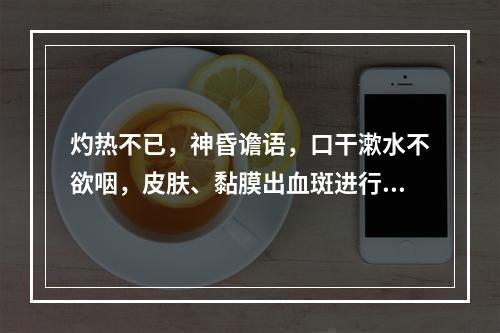 灼热不已，神昏谵语，口干漱水不欲咽，皮肤、黏膜出血斑进行性扩