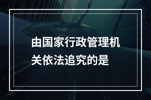 由国家行政管理机关依法追究的是