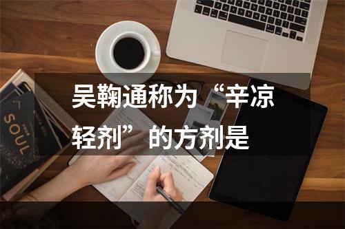 吴鞠通称为“辛凉轻剂”的方剂是