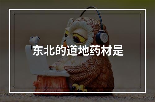 东北的道地药材是