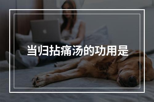 当归拈痛汤的功用是