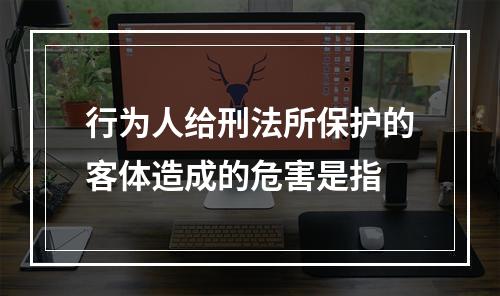 行为人给刑法所保护的客体造成的危害是指