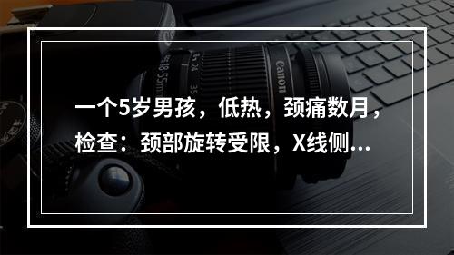 一个5岁男孩，低热，颈痛数月，检查：颈部旋转受限，X线侧位片