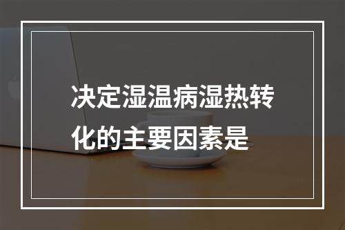 决定湿温病湿热转化的主要因素是