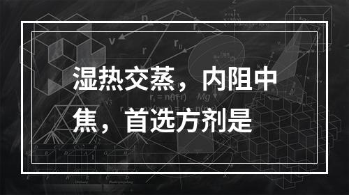 湿热交蒸，内阻中焦，首选方剂是