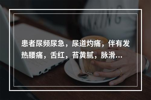 患者尿频尿急，尿道灼痛，伴有发热腰痛，舌红，苔黄腻，脉滑数，