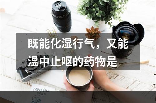 既能化湿行气，又能温中止呕的药物是