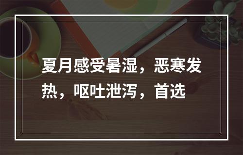 夏月感受暑湿，恶寒发热，呕吐泄泻，首选