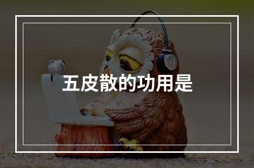 五皮散的功用是