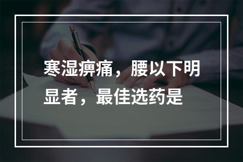 寒湿痹痛，腰以下明显者，最佳选药是