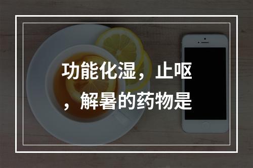 功能化湿，止呕，解暑的药物是