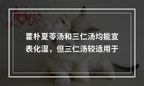 藿朴夏苓汤和三仁汤均能宣表化湿，但三仁汤较适用于