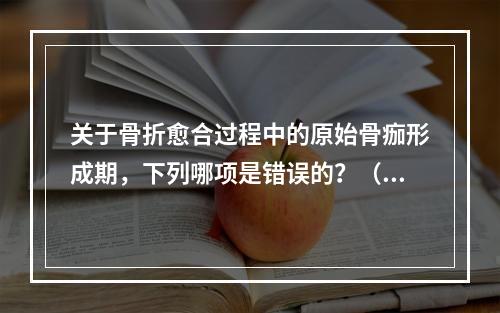 关于骨折愈合过程中的原始骨痂形成期，下列哪项是错误的？（　　