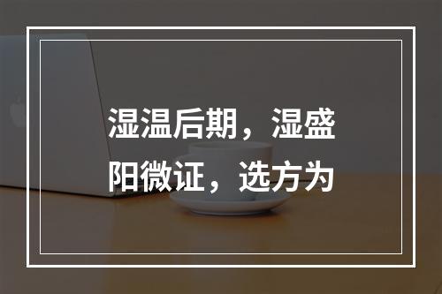 湿温后期，湿盛阳微证，选方为