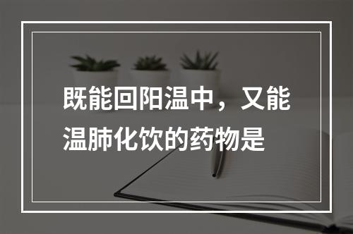 既能回阳温中，又能温肺化饮的药物是