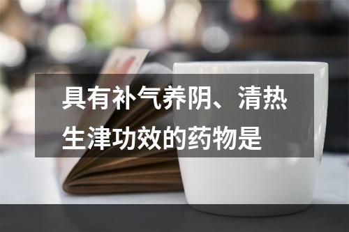 具有补气养阴、清热生津功效的药物是