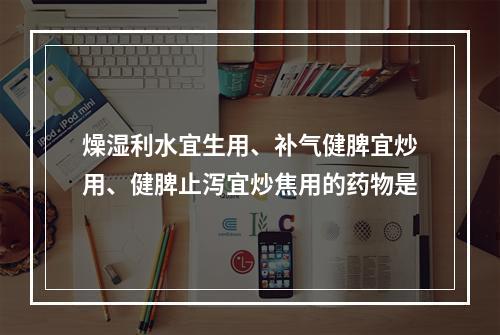 燥湿利水宜生用、补气健脾宜炒用、健脾止泻宜炒焦用的药物是