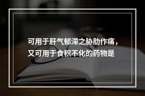 可用于肝气郁滞之胁肋作痛，又可用于食积不化的药物是