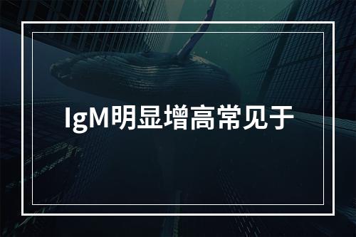 IgM明显增高常见于