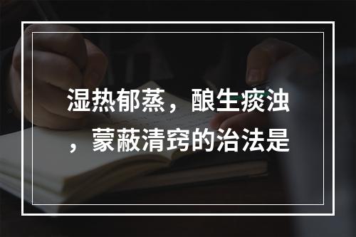 湿热郁蒸，酿生痰浊，蒙蔽清窍的治法是