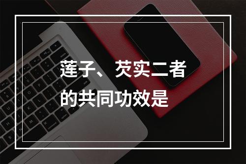 莲子、芡实二者的共同功效是