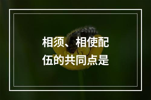 相须、相使配伍的共同点是