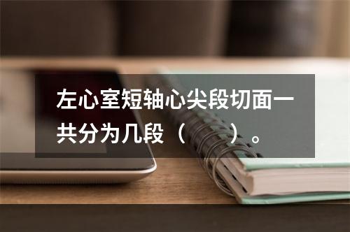 左心室短轴心尖段切面一共分为几段（　　）。