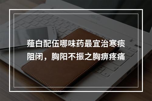 薤白配伍哪味药最宜治寒痰阻闭，胸阳不振之胸痹疼痛