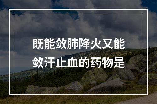 既能敛肺降火又能敛汗止血的药物是