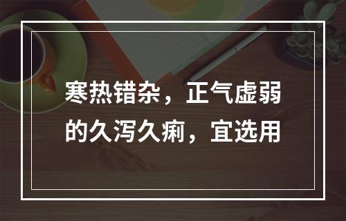 寒热错杂，正气虚弱的久泻久痢，宜选用