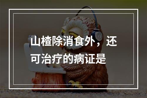 山楂除消食外，还可治疗的病证是