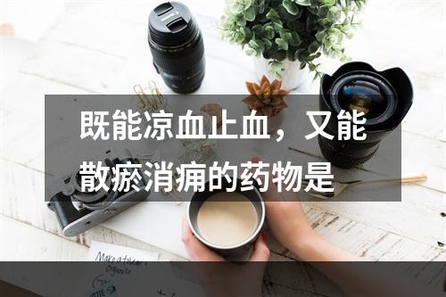 既能凉血止血，又能散瘀消痈的药物是