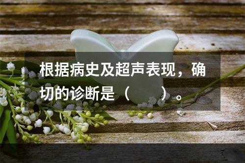 根据病史及超声表现，确切的诊断是（　　）。