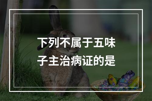 下列不属于五味子主治病证的是